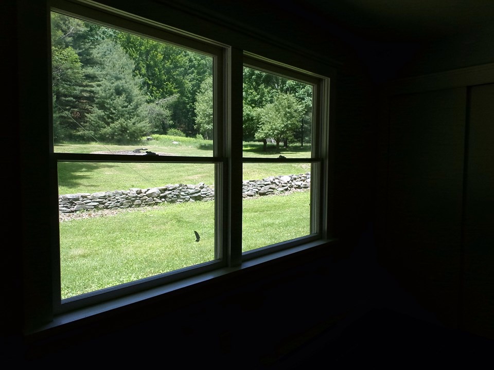 wooded views from every room