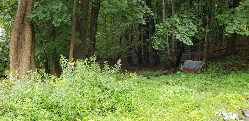 Sullivan County, NY Real Estate property listing