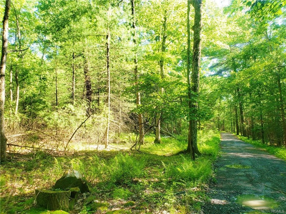 Sullivan County, NY Real Estate property listing