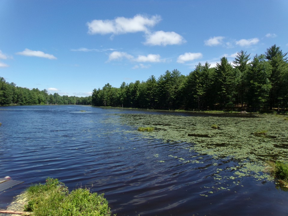 fishing a must!
