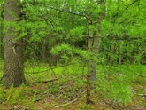 property listing