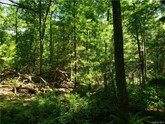 property listing