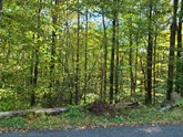 property listing