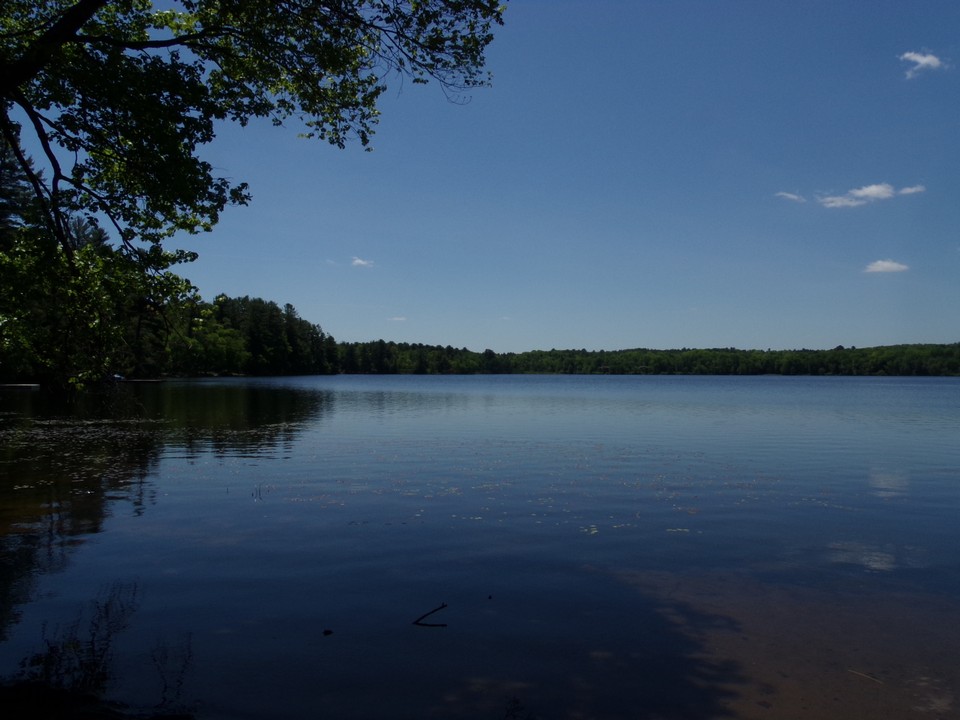 lake black lake is approximately 300 acres of non motor boat fun. excellent fishing and sail boating here.
