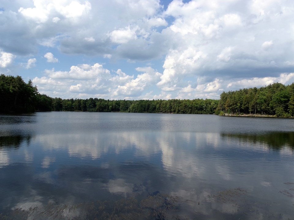 timber lake