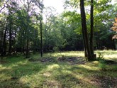 property listing