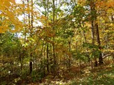 property listing