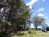 property listing