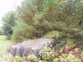 property listing