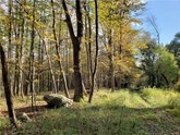 property listing